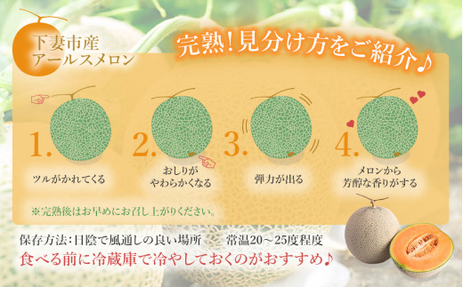 【先行予約】茨城県産アールスメロン「赤」約7.5kg（3～6個）【2026年9月上旬～10月上旬ごろ発送予定】【 国産メロン 茨城県産メロン メロンの王様 高級メロン めろん  果物 くだもの フルーツ 季節限定 人気 贈り物 お取り寄せ プレゼント 厳選 デザート マスクメロン ムスク マスク 】
