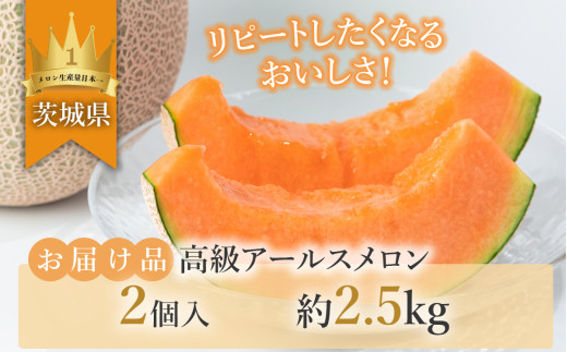 【先行予約】茨城県産アールスメロン「赤」約2.5kg（2個）【2026年9月上旬～10月上旬ごろ発送予定】【 国産メロン 茨城県産メロン メロンの王様 高級メロン めろん  果物 くだもの フルーツ 季節限定 人気 贈り物 お取り寄せ プレゼント 厳選 デザート マスクメロン ムスク マスク 】