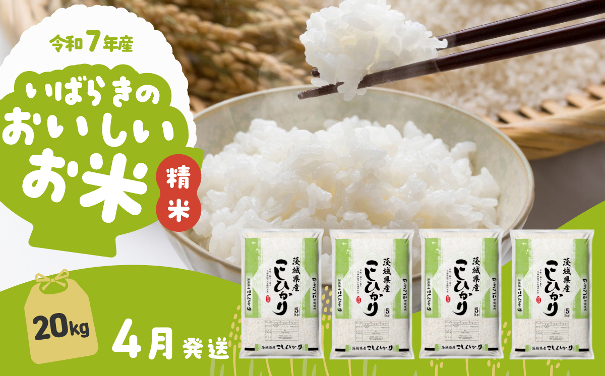 【4月発送】コシヒカリ 20kg (5kg x 4袋) 令和7年産 白米 精米 茨城県 下妻市 お米 米