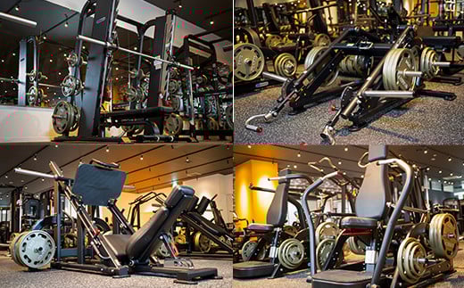 ジム利用チケット×3回（Dandelionsfitness）【 利用券 体験 チケット トレーニング 筋トレ 健康 スポーツ ダイエット 】