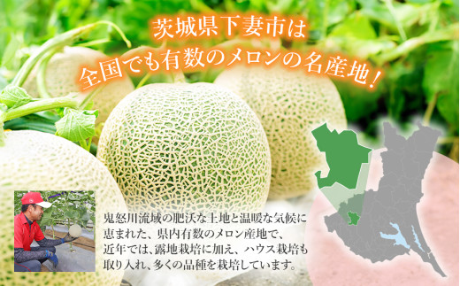 【先行予約】茨城県産アールスメロン「赤」約2.5kg（2個）【2026年9月上旬～10月上旬ごろ発送予定】【 国産メロン 茨城県産メロン メロンの王様 高級メロン めろん  果物 くだもの フルーツ 季節限定 人気 贈り物 お取り寄せ プレゼント 厳選 デザート マスクメロン ムスク マスク 】