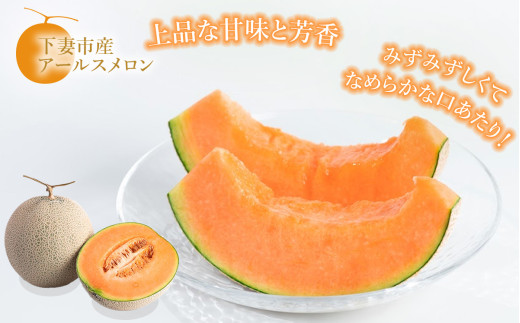 【先行予約】茨城県産アールスメロン「赤」約2.5kg（2個）【2026年9月上旬～10月上旬ごろ発送予定】【 国産メロン 茨城県産メロン メロンの王様 高級メロン めろん  果物 くだもの フルーツ 季節限定 人気 贈り物 お取り寄せ プレゼント 厳選 デザート マスクメロン ムスク マスク 】