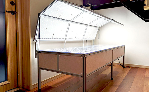 Sleeping Hotel VIP棟 平日2名様 1泊2日 宿泊夕飯付チケット【 快眠 サウナ 体験 宿泊券 券 ホテル 宿 宿泊券 宿泊チケット 旅行 リラクゼーション 】