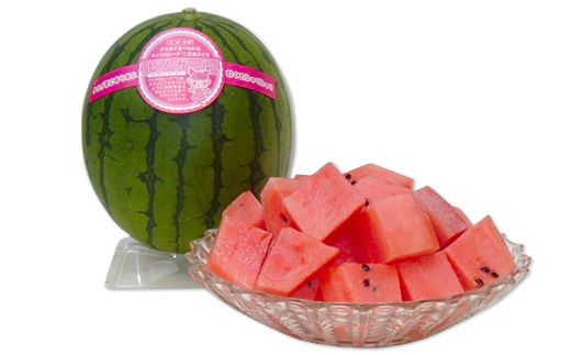 【先行予約】茨城県産ピノガール約3kg（2個）【2026年5月中旬～6月中旬ごろ発送予定】【 こだますいか 小玉すいか スイカ 西瓜 果物 くだもの フルーツ 国産 季節限定 人気 贈り物 お取り寄せ プレゼント 厳選 デザート 】