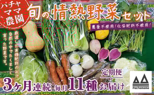 【3ヶ月連続お届け】農園自慢の情熱野菜セット（11品）【 野菜 詰め合わせ お任せ 季節物 定期便 セット 山芋 パセリ わさび菜 ポップコーン かぶ 人参 里芋 たまねぎ 玉ねぎ ルッコラ ほうれん草 春菊 大根 芽キャベツ レタス じゃがいも さつまいも とうもろこし そら豆 枝豆 パクチー ビーツ ほうれん草 キャベツ ピーマン なすトマト かぼちゃ 】