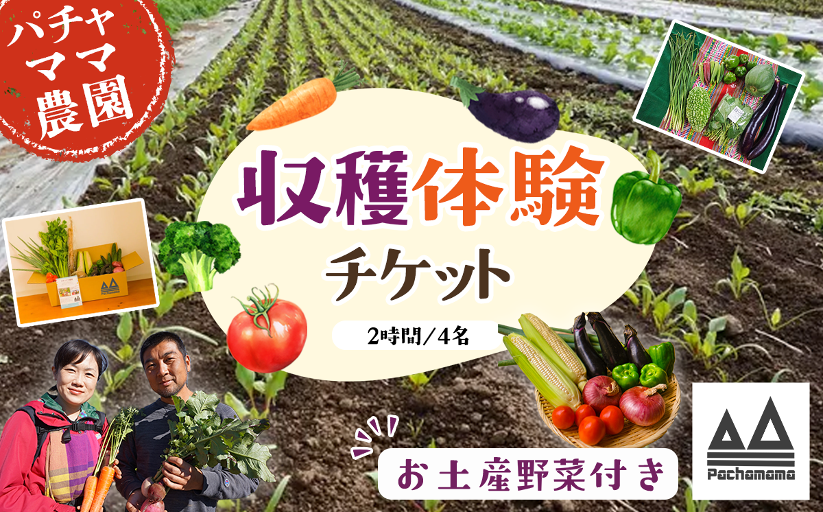 収穫体験チケット（2時間／4名）+お土産野菜付き（野菜持ち帰り）【 農業体験 収穫体験 食育 体験 野菜 農作業 家族 親子 畑 お土産 】