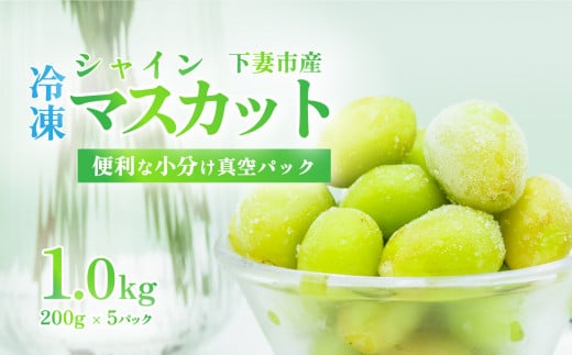 【訳あり】冷凍シャインマスカット約1kg（約200g×5パック）【TV等で話題の凍眠（急速冷凍）】【 わけあり フルーツ 果物 ぶどう ブドウ 葡萄 茨城県産 国産 農園 人気 スイーツ お取り寄せ 】