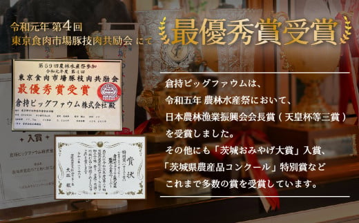定期便 ハンバーグ 無添加 約1100g (約110g×10個) 下妻金豚 黒毛和牛【農場直営店】肉屋のこだわりハンバーグ 10個 ( 2ヵ月毎3回お届け )【ぶぅーぶーブランド】【ハンバーグ 無添加 和牛 黒毛和牛 はんばーぐ 牛肉 豚肉 ブタ ぶた肉 個包装】