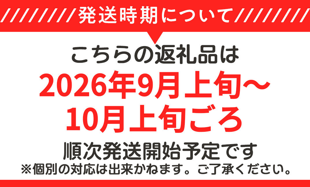【先行予約】茨城県産アールスメロン「赤」約2.5kg（2個）【2026年9月上旬～10月上旬ごろ発送予定】【 国産メロン 茨城県産メロン メロンの王様 高級メロン めろん  果物 くだもの フルーツ 季節限定 人気 贈り物 お取り寄せ プレゼント 厳選 デザート マスクメロン ムスク マスク 】
