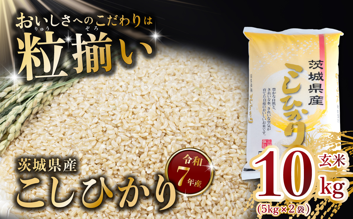 玄米 コシヒカリ 10kg 茨城県下妻市産 【 お米 米 ご飯 こめ コシヒカリ 令和7年産 茨城県産 】