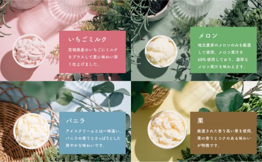 特製ジェラート 12個入り【 アイス ジェラート アイスクリーム デザート 夏 冷たい スイーツ ご当地 おまかせ 人気スイーツ 秋 バニラ 和梨 いちごミルク スイーツ 焼き芋 さしま茶 スイーツ メロン 梅 紫煌 酒 栗 スイーツ 詰め合わせ カップ 子供 スイーツ セット 冬 フレーバー 季節 冷凍 スイーツ 】