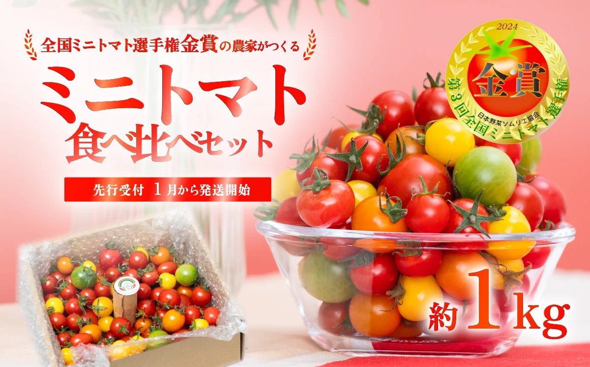 【先行受付】ミニトマト 食べ比べセット 1kg 1月以降順次発送 ミニトマト選手権「金賞」農家がつくる【 10種以上 国産 旬 フルーツトマト 高糖度 カラフル 10000円以下 】