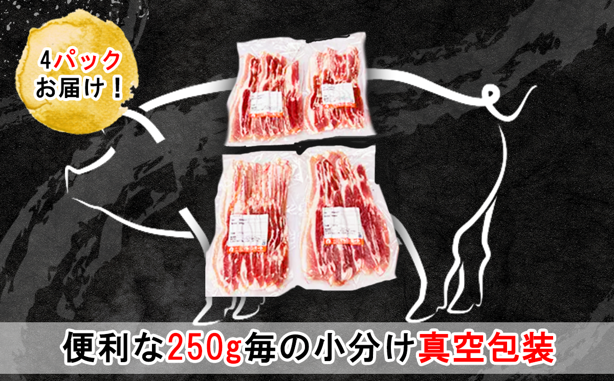 国産豚肉バラスライス 1kg (250g×4パック/小分け真空包装) 【下妻工場直送】【 豚肉 バラスライス パック 小分け 便利 国産 料理 ポーク ぶたにく 国産豚 人気 ランキング マルリン 】