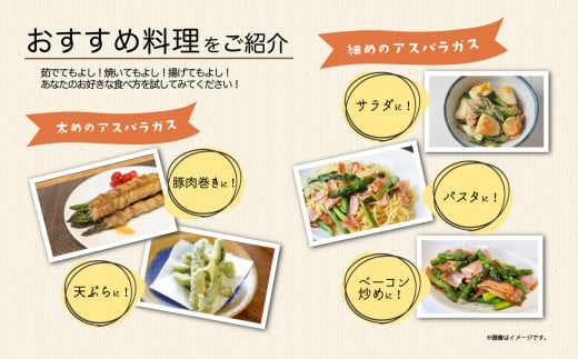 朝採りアスパラガス 1kg M～Lサイズ ハウス栽培 夏芽 26年6月下旬～9月発送 【 先行予約 グリーンアスパラ 野菜 サラダ 農家直送 産地直送 】