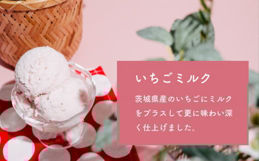 選べる特製ジェラート 1L x 2個 [和梨] [栗] 【 アイス ジェラート アイスクリーム デザート スイーツ 組み合わせ自由 業務用 バルク 】