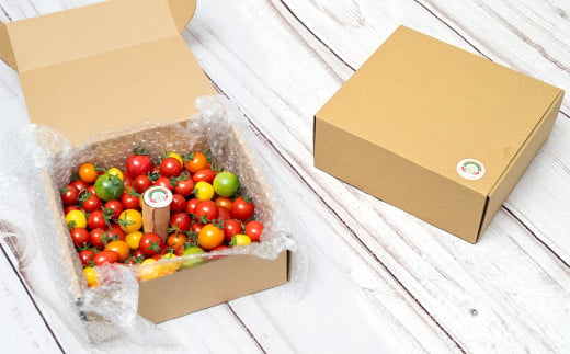 ããããã é£ã¹æ¯ã¹ã»ãã 1kg ãããããéžææš©ãéè³ã蟲家ãã€ããã 10çš®ä»¥äž åœç£ æ¬ ãã«ãŒãããã é«ç³åºŠ ã«ã©ãã« 10000åä»¥äž ã