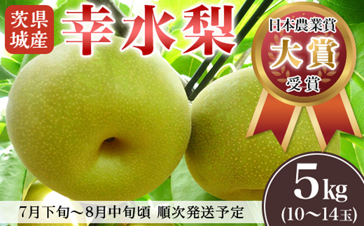 【先行予約】茨城県産「幸水梨」約5kg【2026年7月下旬～8月中旬にかけて発送予定】【 こうすい 果物 くだもの フルーツ 国産 季節限定 人気 贈り物 お取り寄せ デザート 】