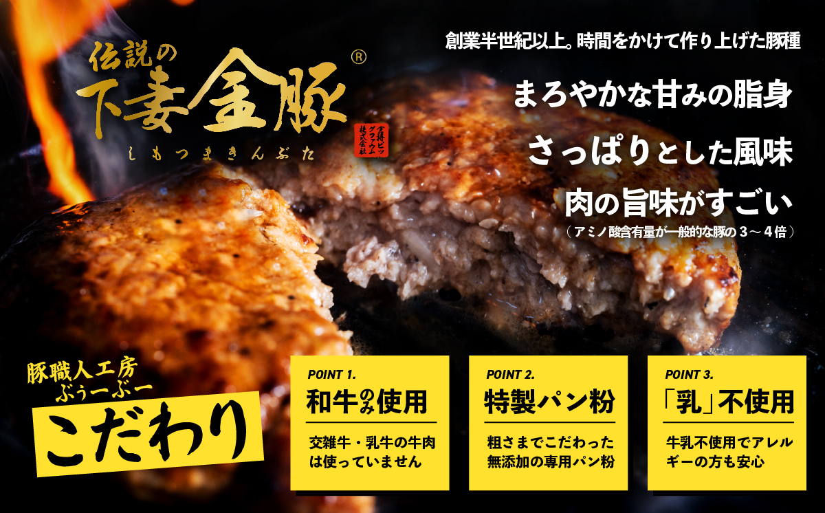 定期便 ハンバーグ 無添加 約1100g (約110g×10個) 下妻金豚 黒毛和牛【農場直営店】肉屋のこだわりハンバーグ 10個 ( 2ヵ月毎3回お届け )【ぶぅーぶーブランド】【ハンバーグ 無添加 和牛 黒毛和牛 はんばーぐ 牛肉 豚肉 ブタ ぶた肉 個包装】