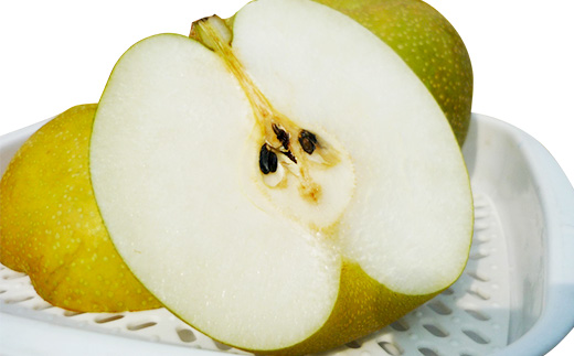 【先行予約】茨城県産「幸水梨」約5kg【2026年8月上旬～8月中旬にかけて発送予定】【 こうすい 果物 くだもの フルーツ 国産 季節限定 人気 贈り物 お取り寄せ デザート 】