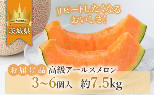 【先行予約】茨城県産アールスメロン「赤」約7.5kg（3～6個）【2026年9月上旬～10月上旬ごろ発送予定】【 国産メロン 茨城県産メロン メロンの王様 高級メロン めろん  果物 くだもの フルーツ 季節限定 人気 贈り物 お取り寄せ プレゼント 厳選 デザート マスクメロン ムスク マスク 】