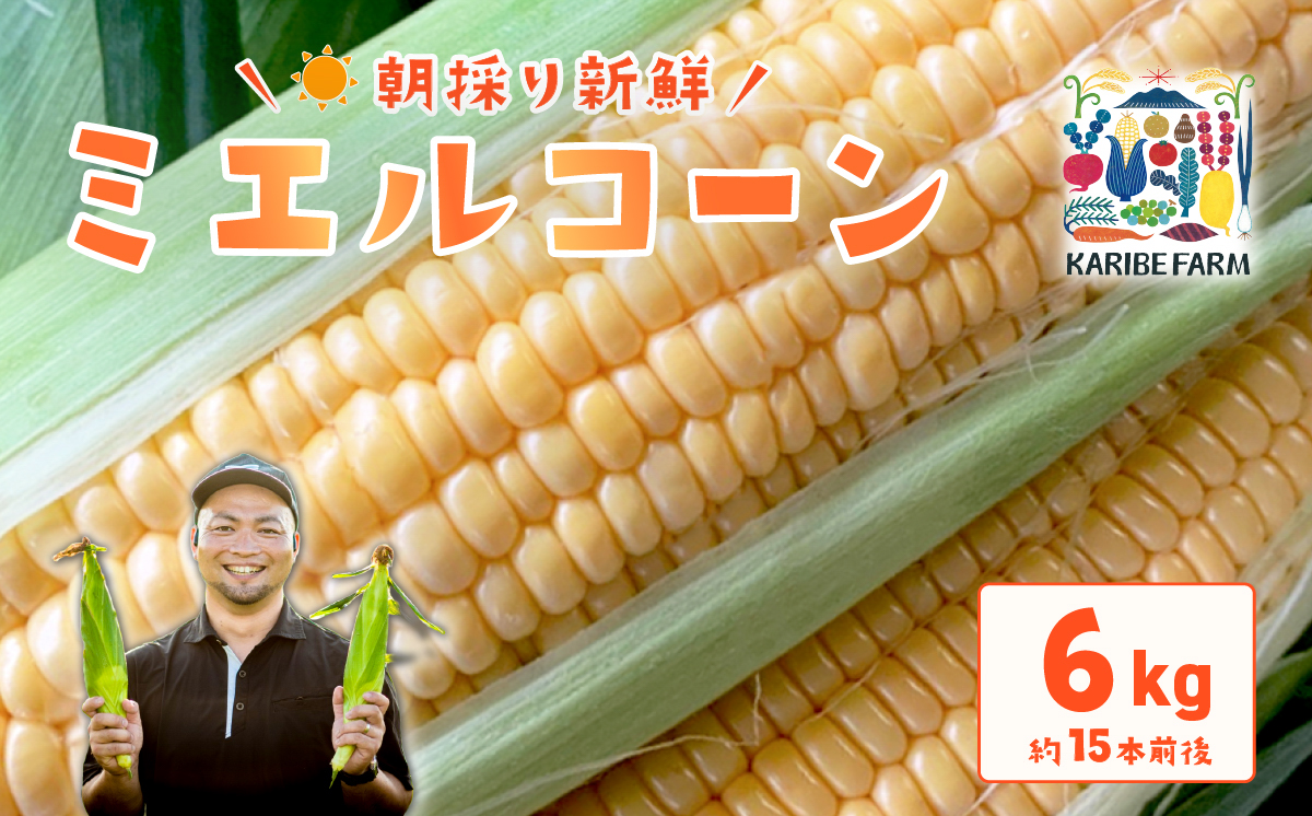 【先行予約】下妻産朝採りとうもろこし（ミエルコーン）約6kg【 とうもろこし とうきび トウモロコシ ジューシー 甘い 蜂蜜 はちみつ ミエル Miel スイーツ デザート ミエルコーン 人気 野菜 新鮮 おすすめ スイートコーン 】