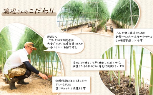 朝採りアスパラガス 1kg L～2Lサイズ ハウス栽培 夏芽 26年6月下旬～9月発送 【 先行予約 グリーンアスパラ 野菜 サラダ 農家直送 産地直送 】