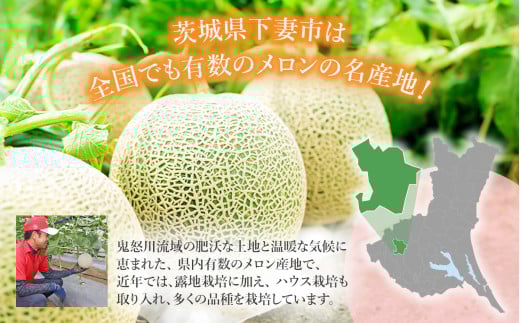 【先行予約】茨城県産アールスメロン「赤」約7.5kg（3～6個）【2026年9月上旬～10月上旬ごろ発送予定】【 国産メロン 茨城県産メロン メロンの王様 高級メロン めろん  果物 くだもの フルーツ 季節限定 人気 贈り物 お取り寄せ プレゼント 厳選 デザート マスクメロン ムスク マスク 】