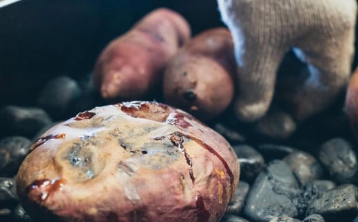 茨城県産 冷やし 焼き芋 約1.1kg ( 約380g × 3パック ) 【焼き芋 冷やし焼き芋 芋 スイーツ さつまいも シルクスイート 紅はるか おまかせ】