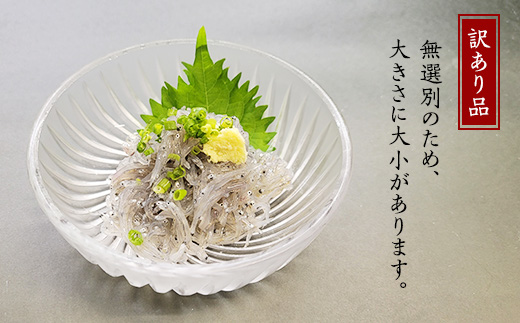 【先行受付】【訳あり】生しらす1kg【TV等で話題の凍眠（急速冷凍）】【 しらす シラス 海鮮丼 冷凍 凍眠 お寿司 青魚 しらす丼 】