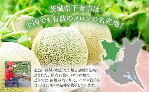 【先行予約】茨城県産アールスメロン約7.5kg（3～6個）【2026年9月上旬～10月上旬ごろ発送予定】【 国産メロン 茨城県産メロン メロンの王様 高級メロン めろん  果物 くだもの フルーツ 季節限定 人気 贈り物 お取り寄せ プレゼント 厳選 デザート マスクメロン ムスク マスク 】