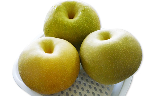 【先行予約】茨城県産「幸水梨」約5kg【2026年8月上旬～8月中旬にかけて発送予定】【 こうすい 果物 くだもの フルーツ 国産 季節限定 人気 贈り物 お取り寄せ デザート 】