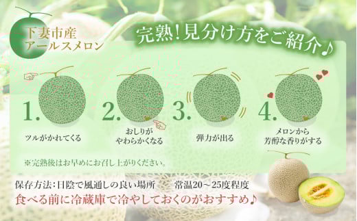 【先行予約】茨城県産アールスメロン約7.5kg（3～6個）【2026年9月上旬～10月上旬ごろ発送予定】【 国産メロン 茨城県産メロン メロンの王様 高級メロン めろん  果物 くだもの フルーツ 季節限定 人気 贈り物 お取り寄せ プレゼント 厳選 デザート マスクメロン ムスク マスク 】
