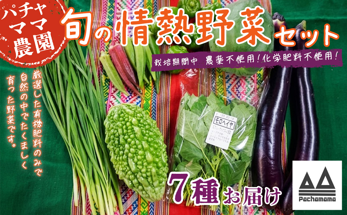 農園自慢の情熱野菜セット（7品）【 野菜 詰め合わせ お任せ 季節物 セット 山芋 パセリ わさび菜 ポップコーン かぶ 人参 里芋 たまねぎ 玉ねぎ ルッコラ ほうれん草 春菊 大根 芽キャベツ レタス じゃがいも さつまいも とうもろこし そら豆 枝豆 パクチー ビーツ ほうれん草 キャベツ ピーマン なすトマト かぼちゃ 】
