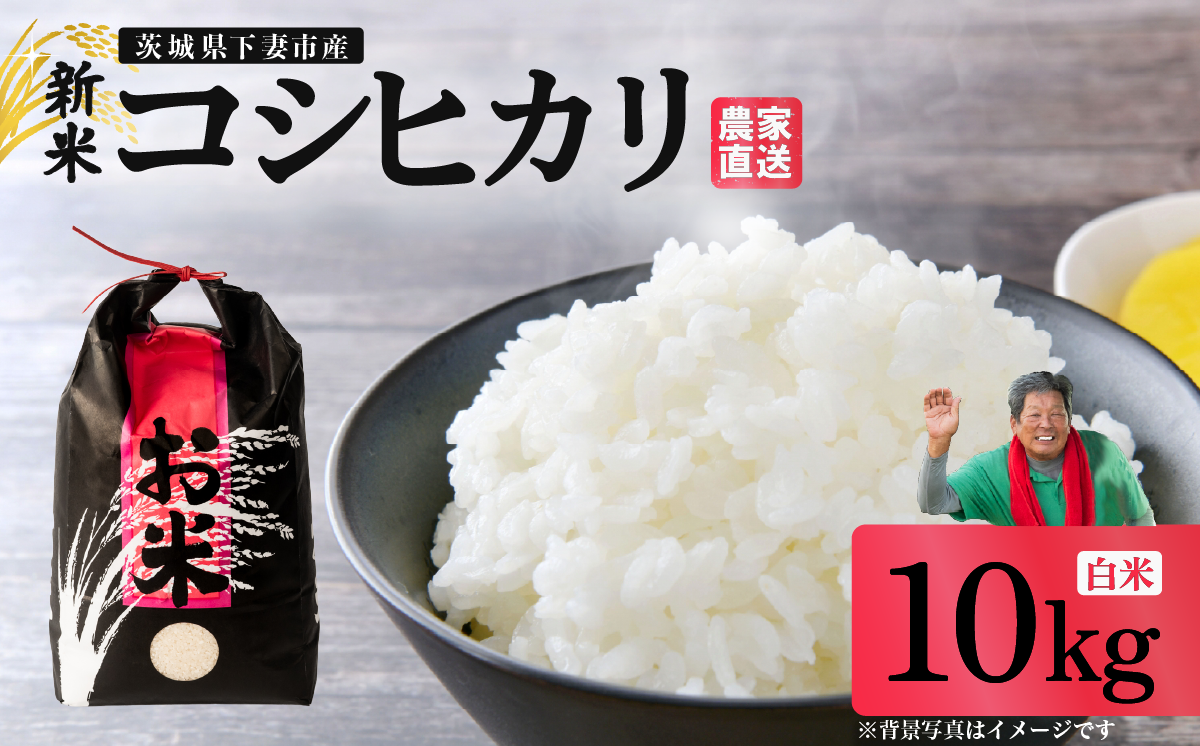 精米 コシヒカリ 10kg 茨城県下妻市産 【 米 お米 白米 ごはん こめ コシヒカリ 令和7年産 茨城県産 】