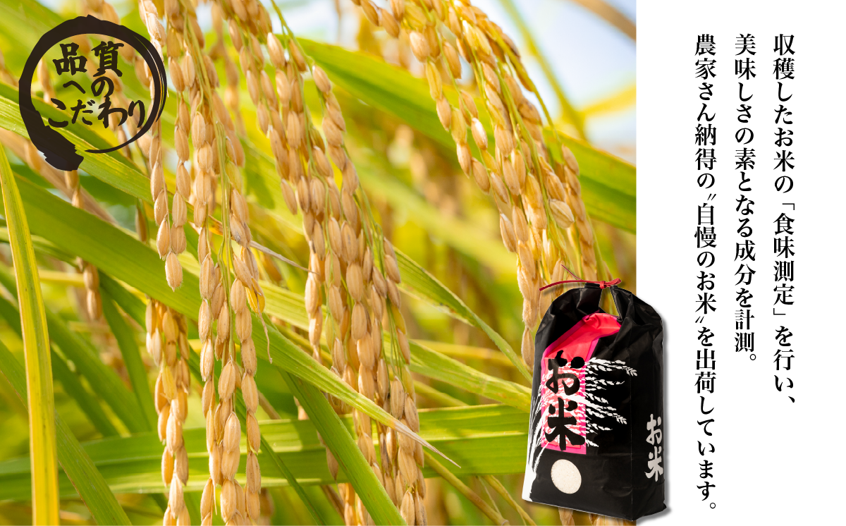 精米 にじのきらめき 5kg 茨城県下妻市産 【 米 お米 白米 ごはん こめ にじのきらめき 令和7年産 茨城県産 】