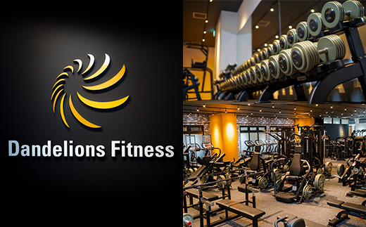 ジム利用チケット×3回（Dandelionsfitness）【 利用券 体験 チケット トレーニング 筋トレ 健康 スポーツ ダイエット 】