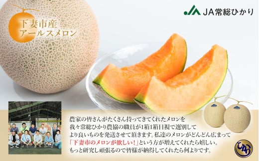 【先行予約】茨城県産アールスメロン「赤」約7.5kg（3～6個）【2026年9月上旬～10月上旬ごろ発送予定】【 国産メロン 茨城県産メロン メロンの王様 高級メロン めろん  果物 くだもの フルーツ 季節限定 人気 贈り物 お取り寄せ プレゼント 厳選 デザート マスクメロン ムスク マスク 】