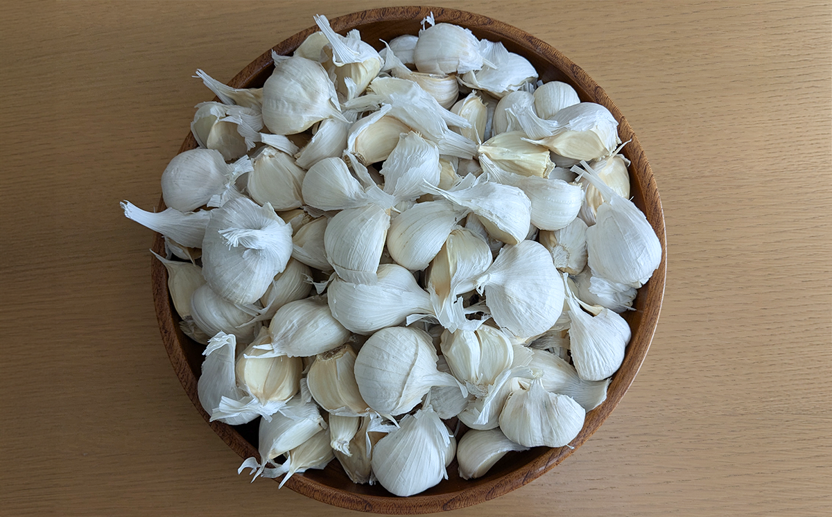 åœç£çºé
µé»ã«ãã«ãïŒïŒè¢ïŒã ãã³ã㯠ã¬ãŒãªã㯠倧è é»ãã³ã㯠ã