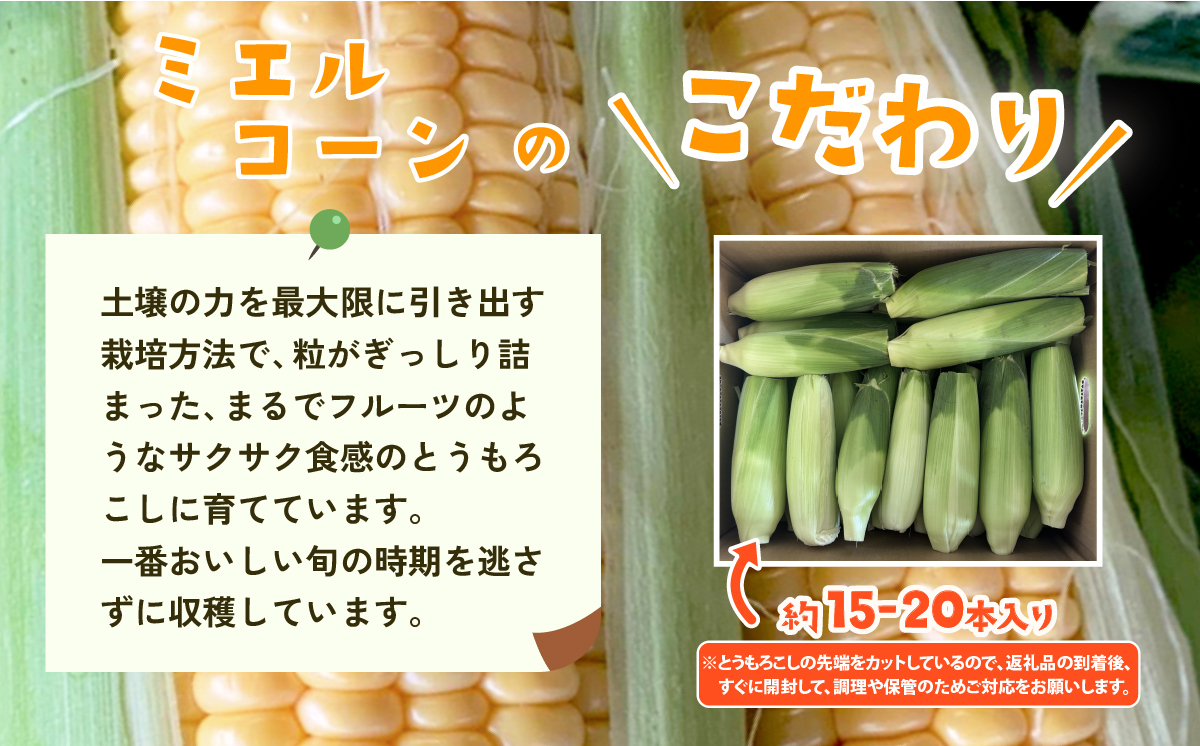 ãèš³ããããå
è¡äºçŽãäžåŠ»ç£ææ¡ããšãããããïŒããšã«ã³ãŒã³ïŒçŽ6kgã ãšããããã ãšããã³ ããŠã¢ãã³ã· ãžã¥ãŒã·ãŒ çã èè ã¯ã¡ã¿ã€ ããšã« Miel ã¹ã€ãŒã ãã¶ãŒã ããšã«ã³ãŒã³ äººæ° éè æ°é®® ãããã ã¹ã€ãŒãã³ãŒã³ ã