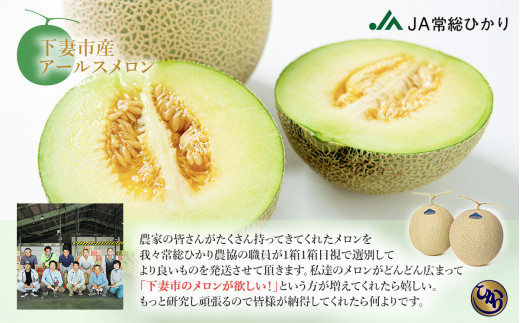 【先行予約】茨城県産アールスメロン約2.5kg（2個）【2026年9月上旬～10月上旬ごろ発送予定】【 国産メロン 茨城県産メロン メロンの王様 高級メロン めろん  果物 くだもの フルーツ 季節限定 人気 贈り物 お取り寄せ プレゼント 厳選 デザート マスクメロン ムスク マスク 】