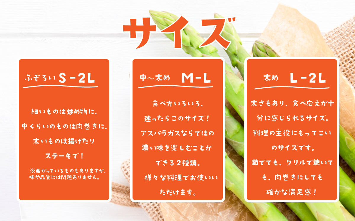 朝採りアスパラガス 1kg M〜Lサイズ ハウス栽培 春芽 26年3月下旬〜5月発送 【 先行予約 グリーンアスパラ 野菜 サラダ 農家直送 産地直送 】