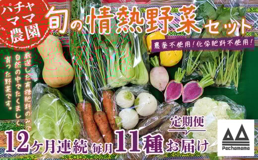 【12ヶ月連続お届け】農園自慢の情熱野菜セット（11品）【 野菜 詰め合わせ お任せ 季節物 定期便 セット 山芋 パセリ わさび菜 ポップコーン かぶ 人参 里芋 たまねぎ 玉ねぎ ルッコラ ほうれん草 春菊 大根 芽キャベツ レタス じゃがいも さつまいも とうもろこし そら豆 枝豆 パクチー ビーツ ほうれん草 キャベツ ピーマン なすトマト かぼちゃ 】