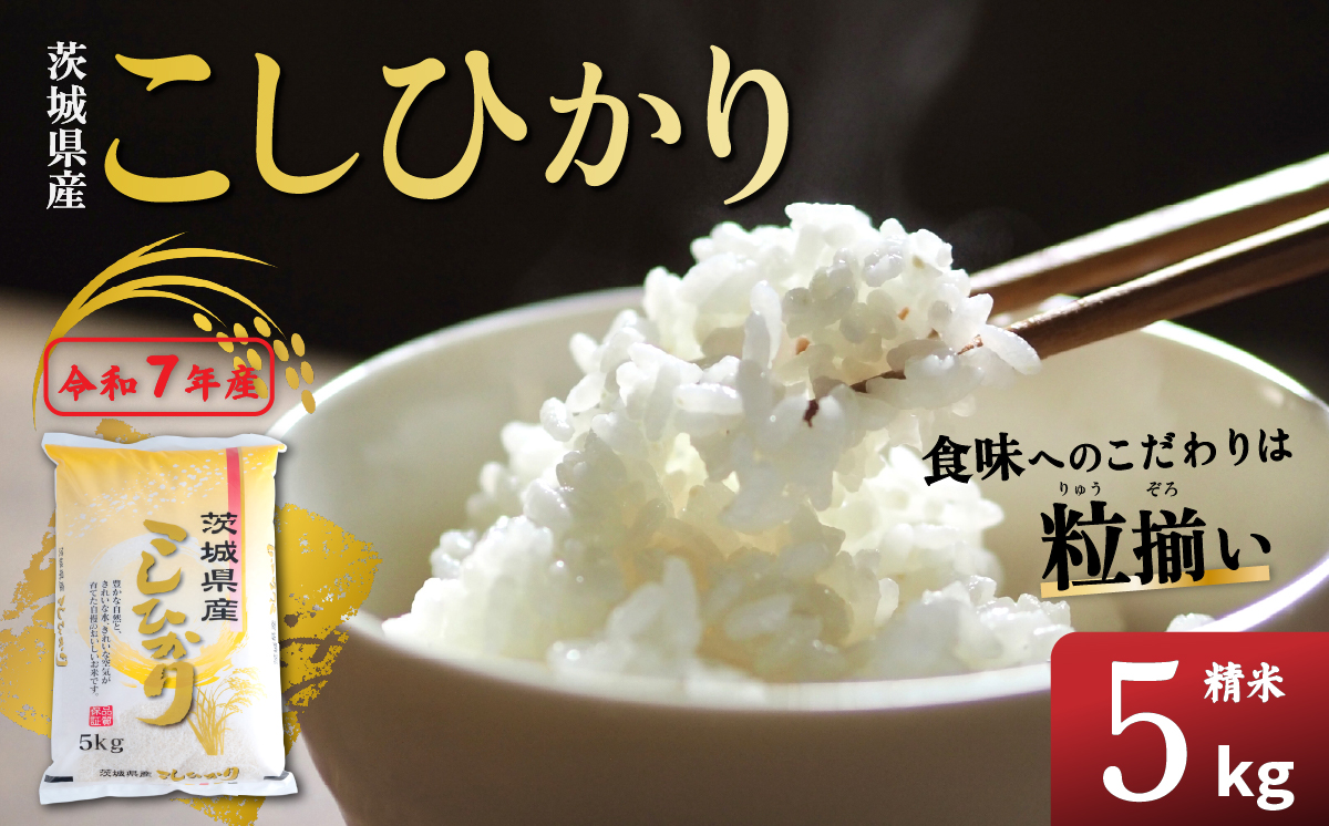 精米 コシヒカリ 5kg 茨城県下妻市産 【 お米 米 白米 ご飯 こめ コシヒカリ 令和7年産 茨城県産 】