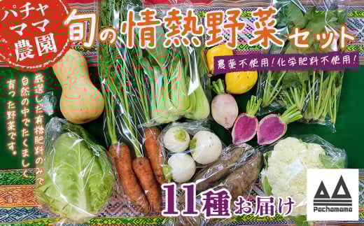 農園自慢の情熱野菜セット（11品）【 野菜 詰め合わせ お任せ 季節物 セット 山芋 パセリ わさび菜 ポップコーン かぶ 人参 里芋 たまねぎ 玉ねぎ ルッコラ ほうれん草 春菊 大根 芽キャベツ レタス じゃがいも さつまいも とうもろこし そら豆 枝豆 パクチー ビーツ ほうれん草 キャベツ ピーマン なすトマト かぼちゃ 】