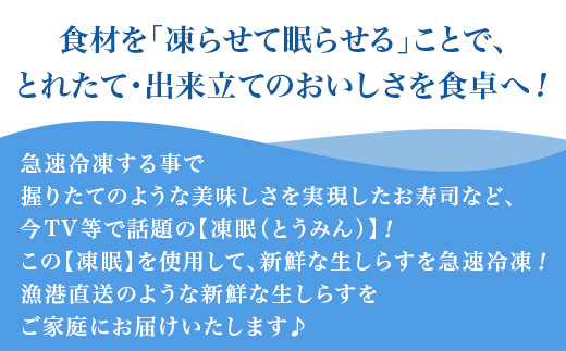 【先行受付】【訳あり】生しらす1kg【TV等で話題の凍眠（急速冷凍）】【 しらす シラス 海鮮丼 冷凍 凍眠 お寿司 青魚 しらす丼 】