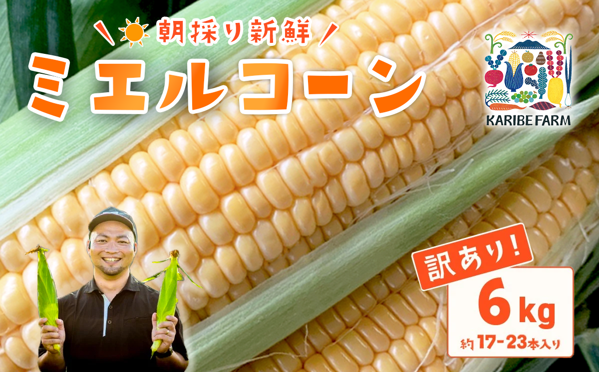 【訳あり】【先行予約】下妻産朝採りとうもろこし（ミエルコーン）約6kg【 とうもろこし とうきび トウモロコシ ジューシー 甘い 蜂蜜 はちみつ ミエル Miel スイーツ デザート ミエルコーン 人気 野菜 新鮮 おすすめ スイートコーン 】