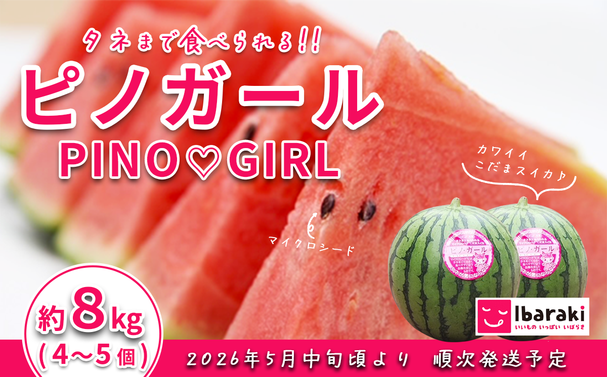 【先行予約】茨城県産ピノガール約8kg（4～5個）【2026年5月中旬～6月中旬ごろ発送予定】【 こだますいか 小玉すいか スイカ 西瓜 果物 くだもの フルーツ 国産 季節限定 人気 贈り物 お取り寄せ プレゼント 厳選 デザート 】