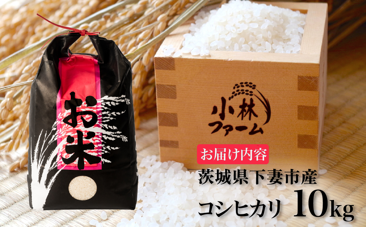 精米 コシヒカリ 10kg 茨城県下妻市産 【 米 お米 白米 ごはん こめ コシヒカリ 令和7年産 茨城県産 】
