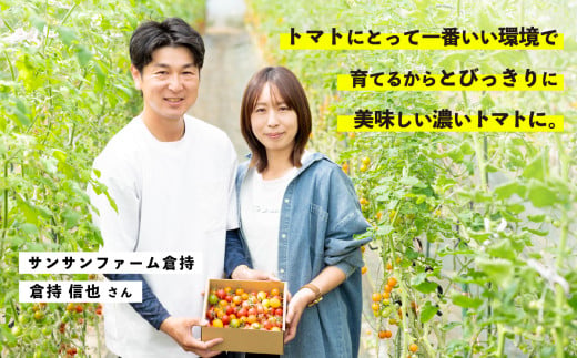 ããããã é£ã¹æ¯ã¹ã»ãã 1kg ãããããéžææš©ãéè³ã蟲家ãã€ããã 10çš®ä»¥äž åœç£ æ¬ ãã«ãŒãããã é«ç³åºŠ ã«ã©ãã« 10000åä»¥äž ã