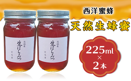 【先行予約】天然生蜂蜜 「西洋蜜蜂」 225ml 2本 計450ml【 2026年6月上旬から順次発送予定 】【 はちみつ 国産 生はちみつ なま 生蜂蜜 生ハチミツ 天然生蜂蜜 】